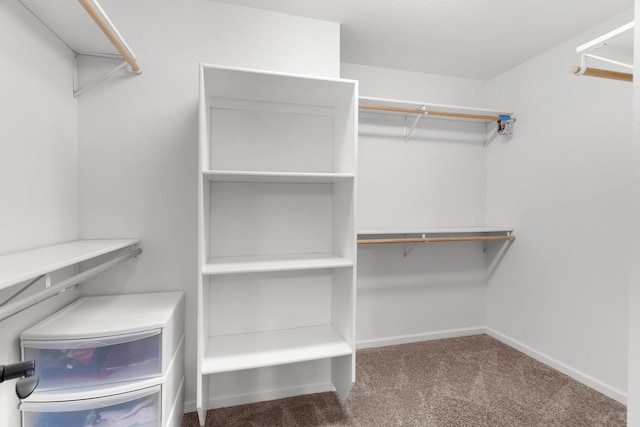 spacious closet with carpet flooring