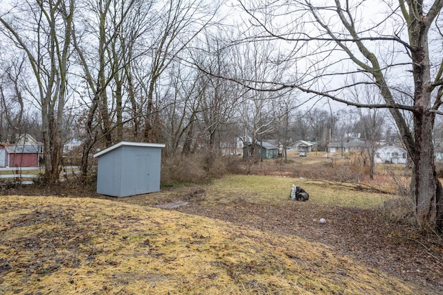 view of yard with a storage shed