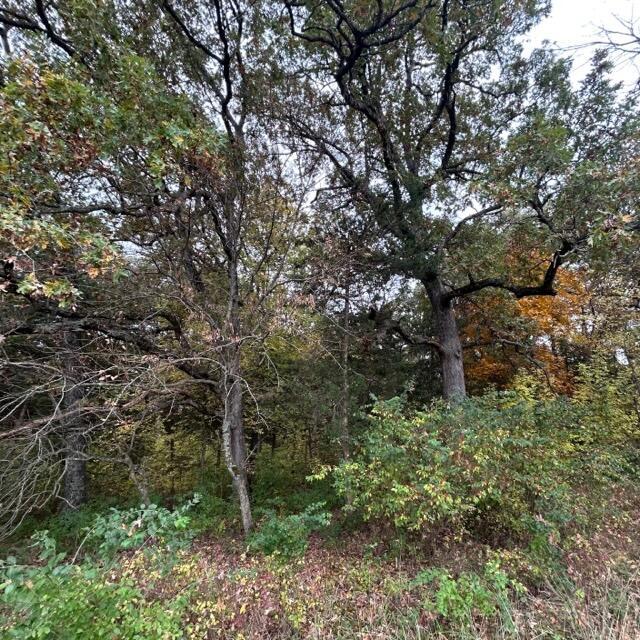 E Rte A, Ashland, MO 65010
