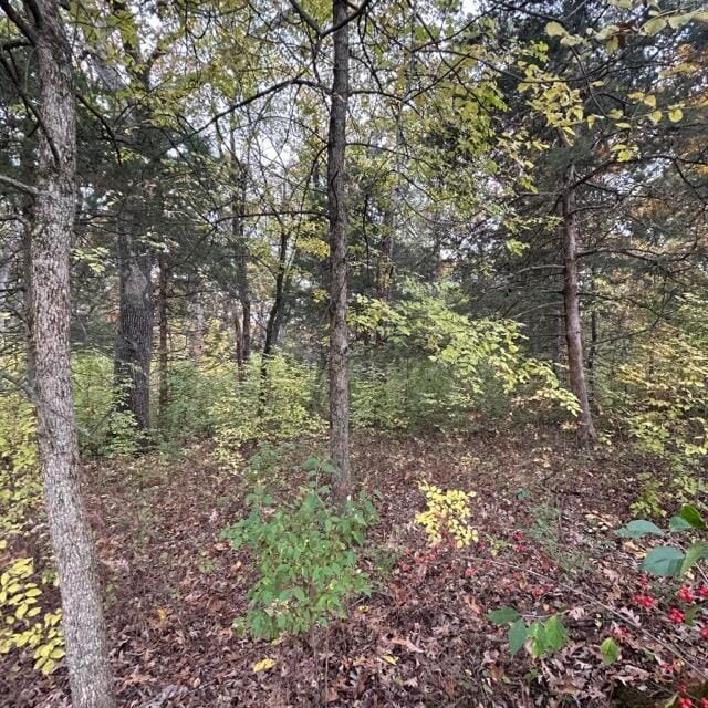 E Rte A, Ashland, MO 65010