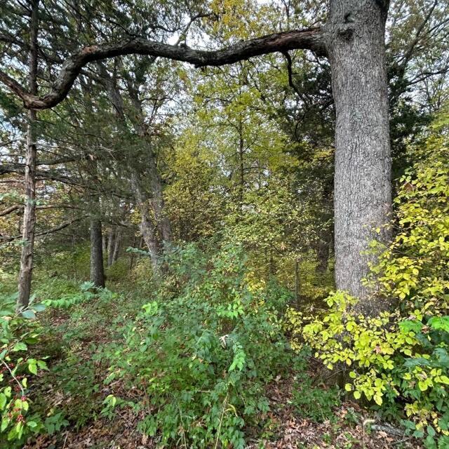 E Rte A, Ashland, MO 65010
