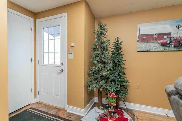 foyer with baseboards and wood finished floors