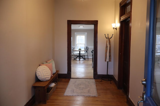 hallway featuring hardwood / wood-style floors