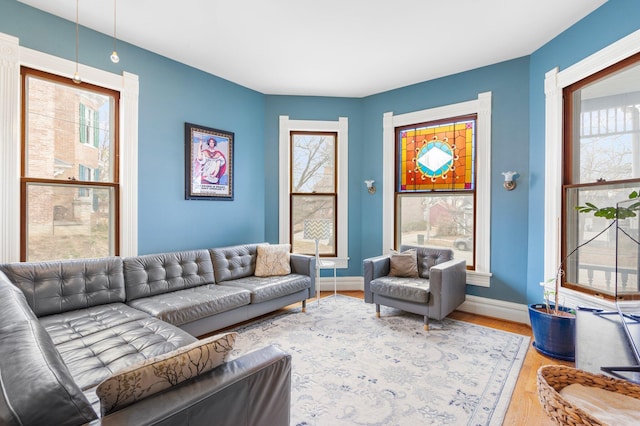 living room featuring wood-type flooring