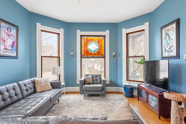 living room with hardwood / wood-style flooring