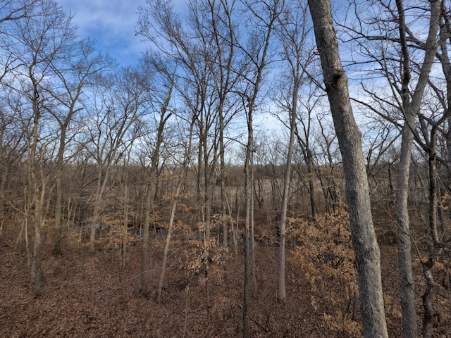 view of landscape featuring a wooded view