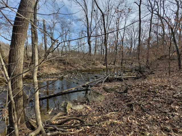 property view of water with a view of trees