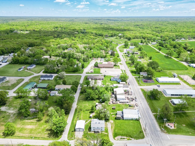 60 N Harris St, Harrisburg, MO 65256 - drone / aerial view of a forest
