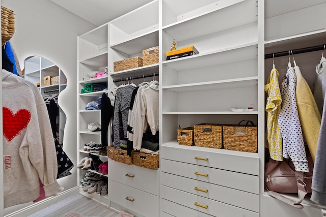 walk in closet with wood finished floors