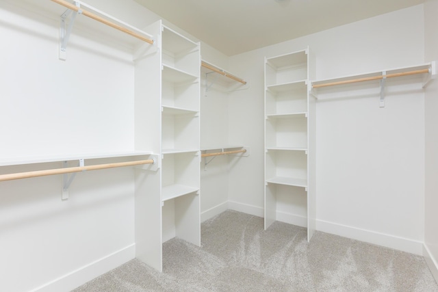 4509 Royal County Rd, Columbia, MO 65201 - spacious closet with carpet floors