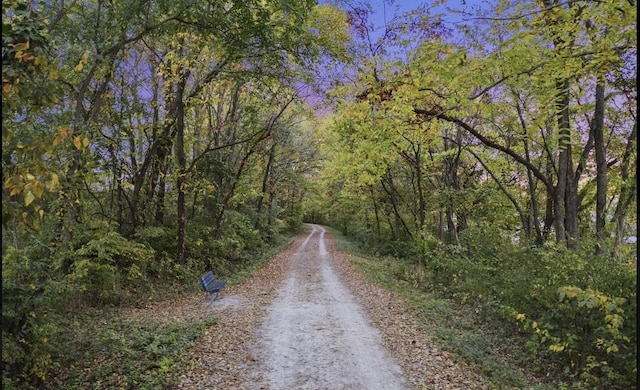 view of road