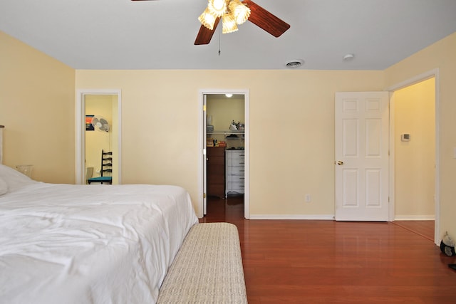 bedroom with a walk in closet, dark wood-type flooring, a closet, and ceiling fan