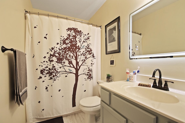 bathroom with vanity, hardwood / wood-style floors, and toilet