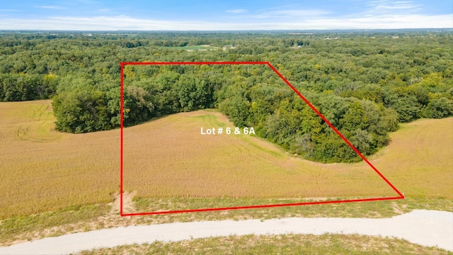 143 Otto Ct, Silex, MO 63377 - photo 1