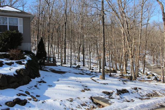 view of yard covered in snow