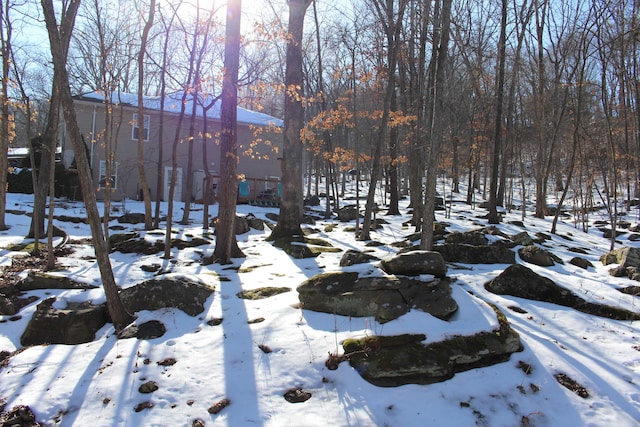 view of snowy yard