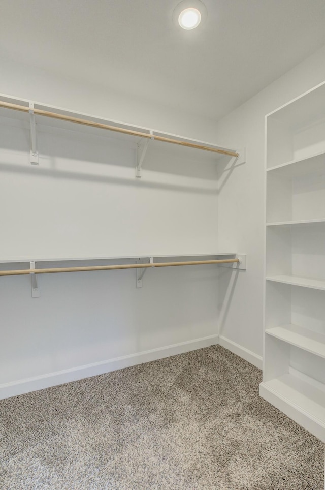 spacious closet featuring carpet floors