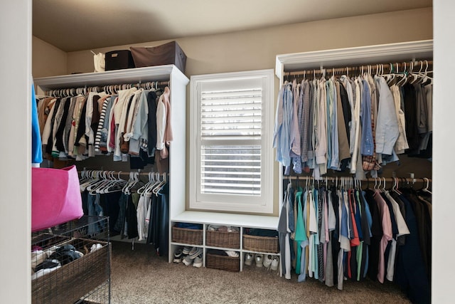 walk in closet featuring carpet floors