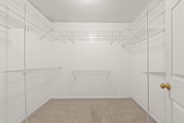 walk in closet featuring light carpet