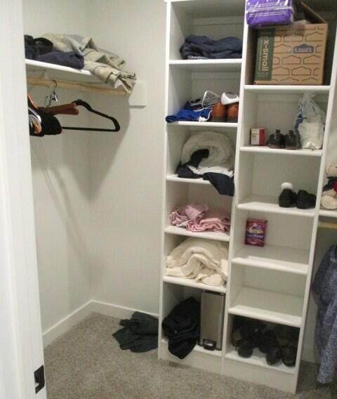 305 E Francis St, Sturgeon, MO 65284 - walk in closet with carpet floors