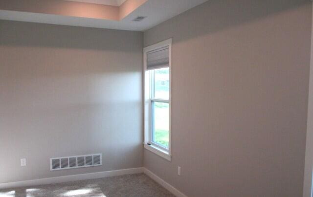 305 E Francis St, Sturgeon, MO 65284 - carpeted empty room with healthy amount of natural light and baseboards