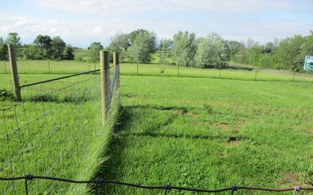 305 E Francis St, Sturgeon, MO 65284 - view of yard featuring a view of rural / pastoral area