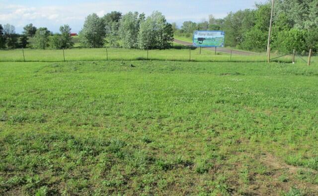 305 E Francis St, Sturgeon, MO 65284 - view of grassy yard