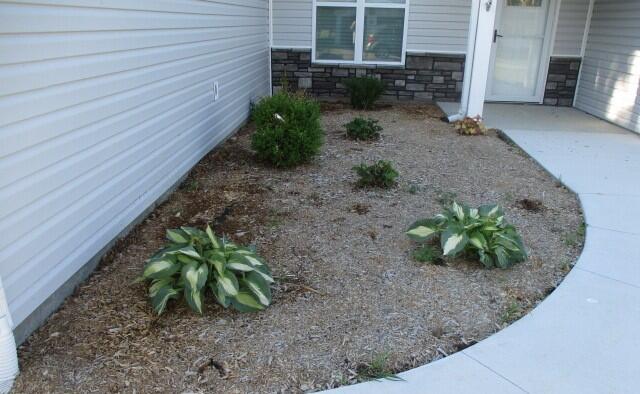 305 E Francis St, Sturgeon, MO 65284 - view of yard