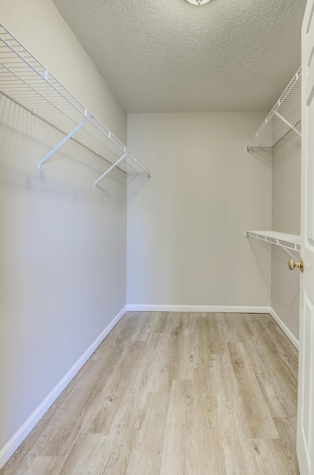 walk in closet with light wood-style floors