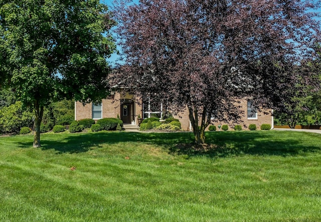 obstructed view of property featuring brick siding and a front lawn