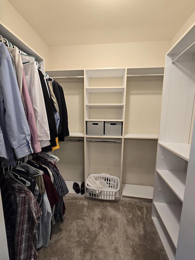 spacious closet featuring carpet floors