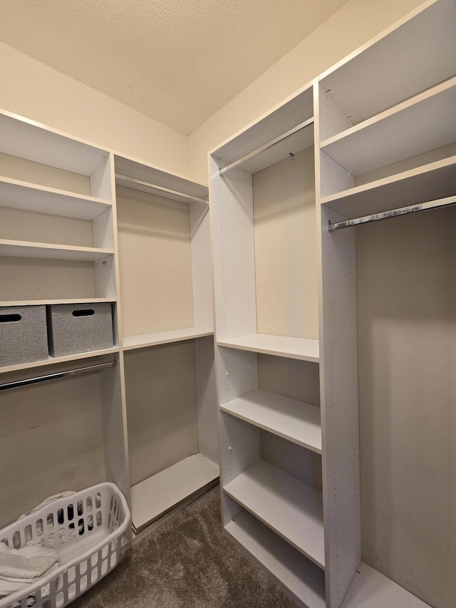 spacious closet with carpet floors