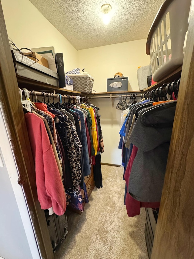 walk in closet with carpet