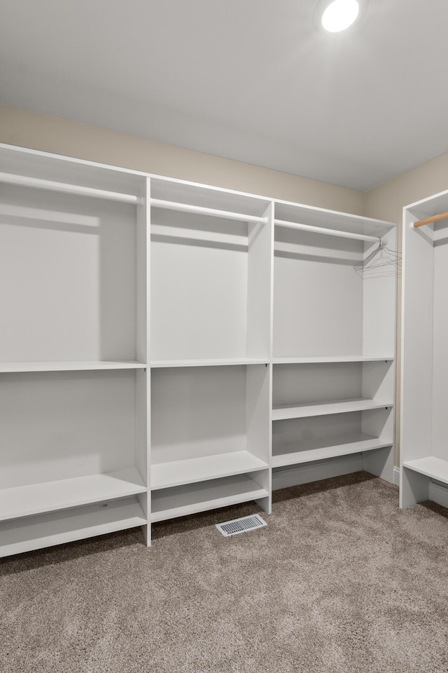 spacious closet featuring carpet and visible vents