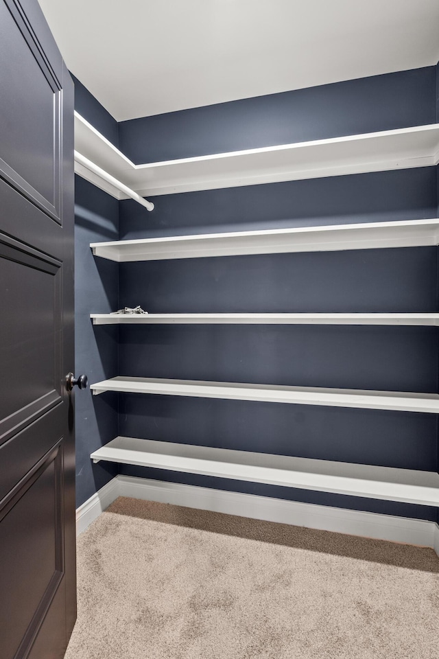 spacious closet featuring carpet flooring