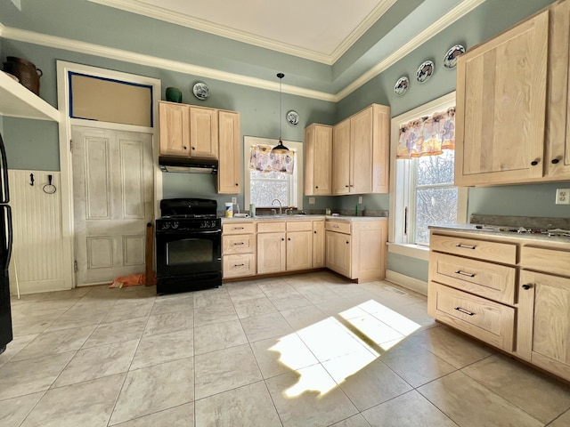 kitchen featuring a tray ceiling, black gas range, light brown cabinets, a sink, and under cabinet range hood