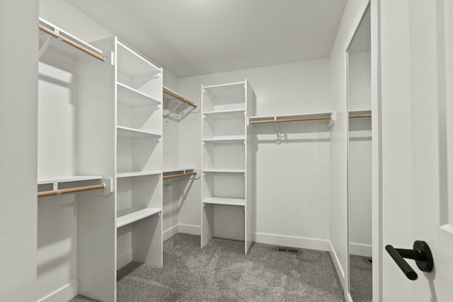 walk in closet featuring carpet flooring