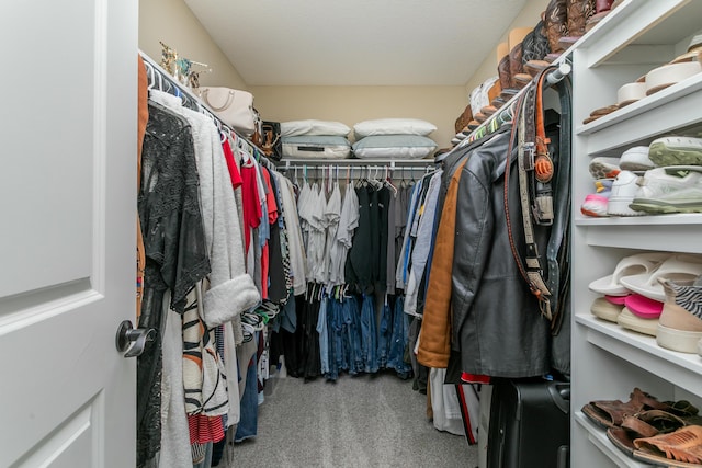 spacious closet featuring carpet floors