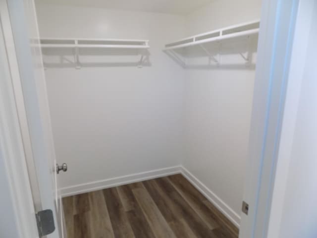 spacious closet featuring dark wood finished floors