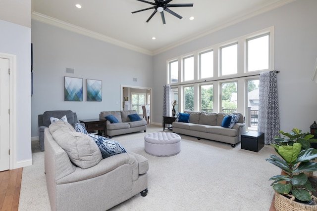 living area with ornamental molding, a wealth of natural light, and baseboards