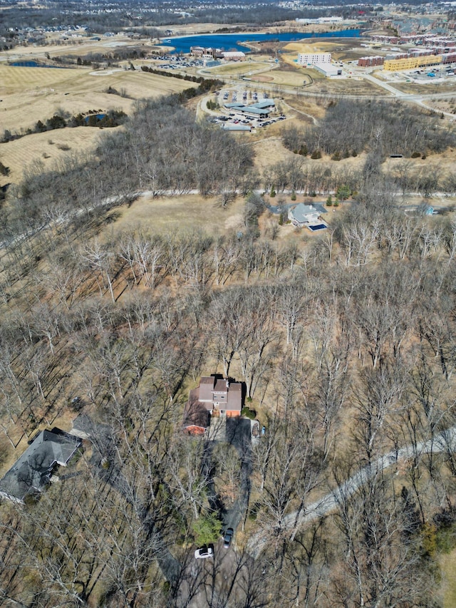 drone / aerial view