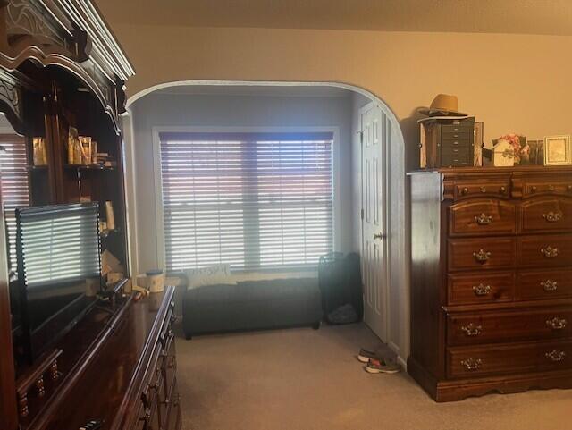 carpeted bedroom featuring arched walkways