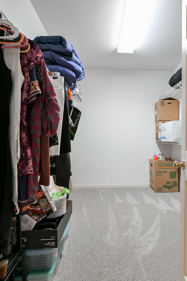 spacious closet with carpet flooring