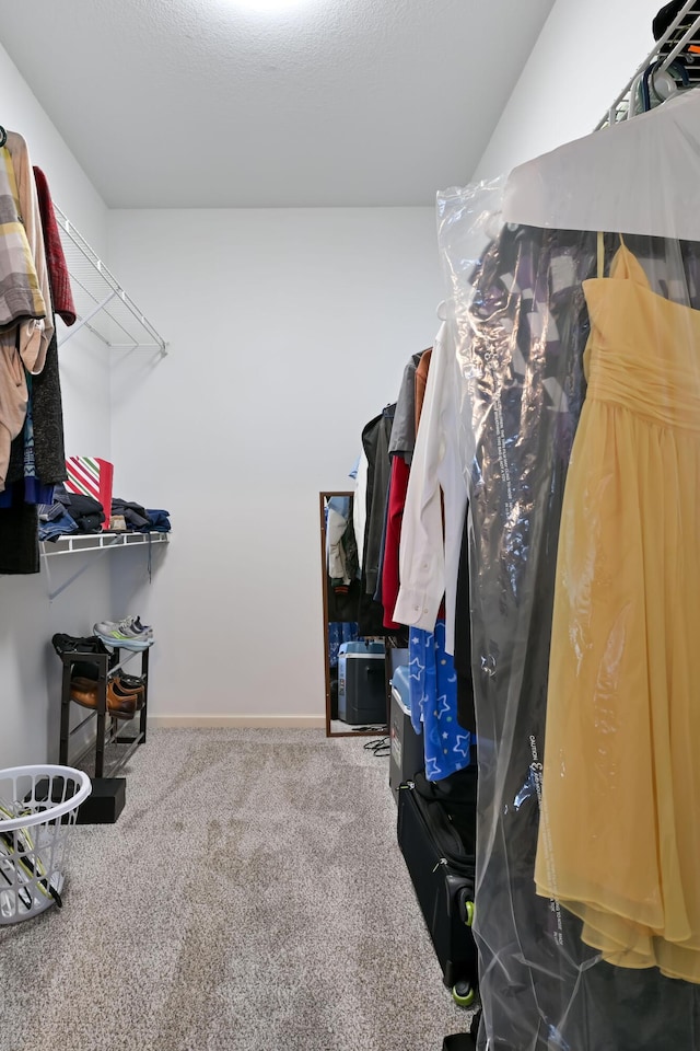 spacious closet with carpet