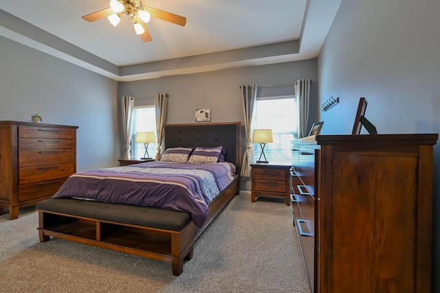 bedroom featuring multiple windows, a raised ceiling, and light colored carpet