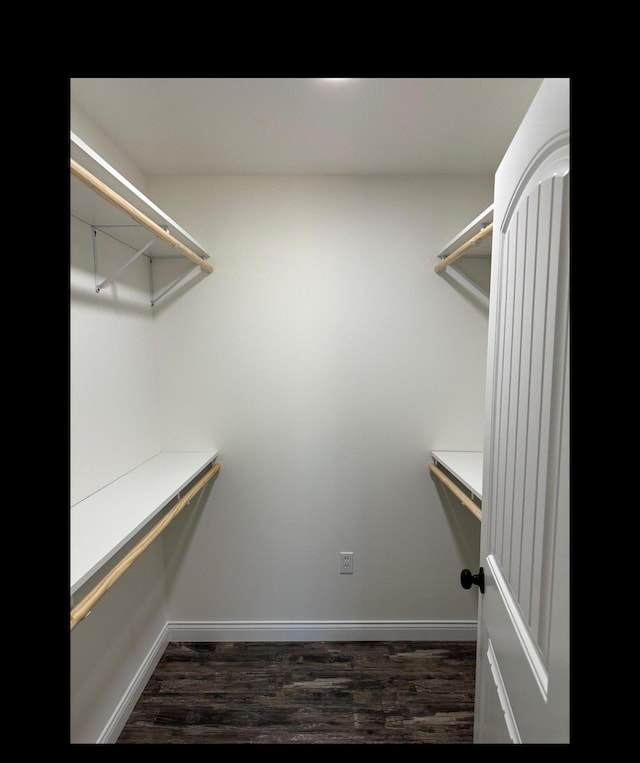 spacious closet featuring dark wood-style flooring