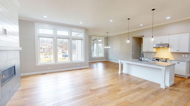 kitchen with light wood finished floors, ornamental molding, a sink, range, and under cabinet range hood