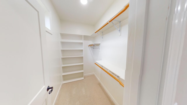 walk in closet featuring light carpet