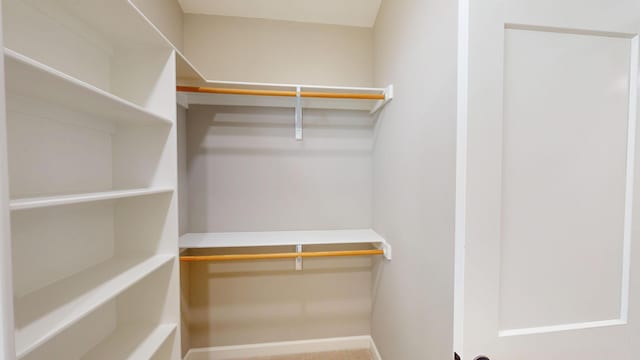 view of walk in closet