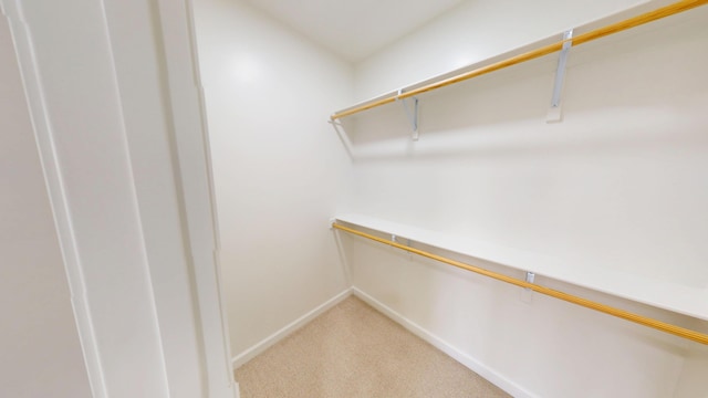 walk in closet featuring light colored carpet